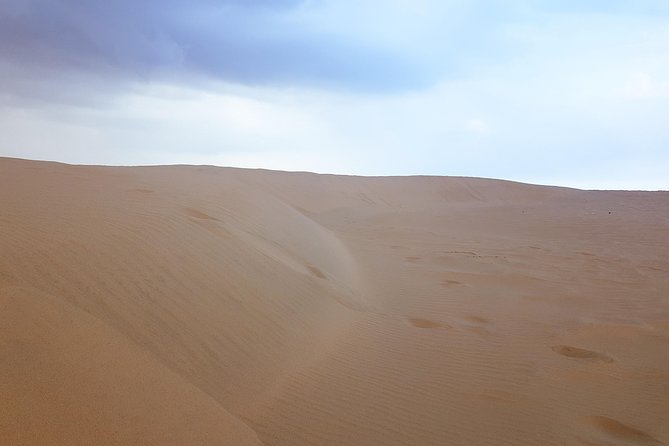 4 Days Tour In Doha | City Tour | North Tour | Desert Safari | West Tour - Who should book this tour?