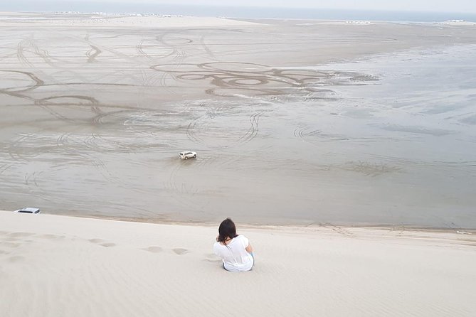 4 Hour Desert Safari, Camel Ride & Inland Sea Beach - Dune bashing across the desert