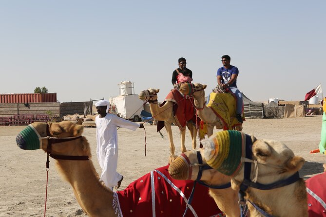 4 Hour Desert Safari, Camel Ride & Inland Sea Beach - Camel riding and falcon photographs