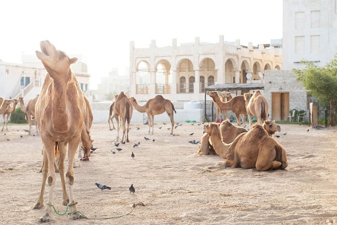 4-Hour Private Group City Tour in Doha, Qatar - Imam Muhammad bin Abdul Wahhab Mosque in 20 minutes