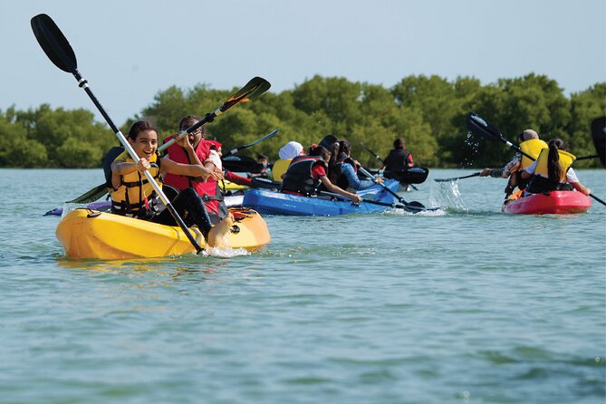 4 Hours Purple Island Mangroves Kayaking Adventure in Qatar - Why the Al Thakira Mangroves Feel Unexpected