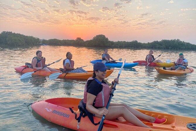 4 Hours Purple Island Mangroves Kayaking Adventure in Qatar - Purple Island, Also Called Jazirat Bin Ghanim