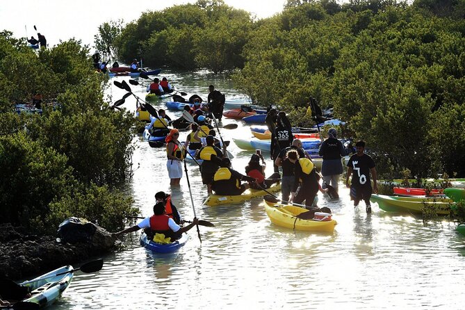 4 Hours Purple Island Mangroves Kayaking Adventure in Qatar - Private Touring and the Guide Question