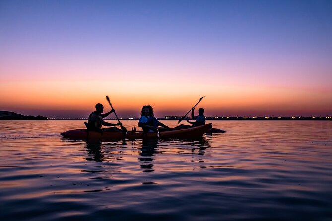 4 Hours Purple Island Mangroves Kayaking Adventure in Qatar - What to Bring and Check Before You Go