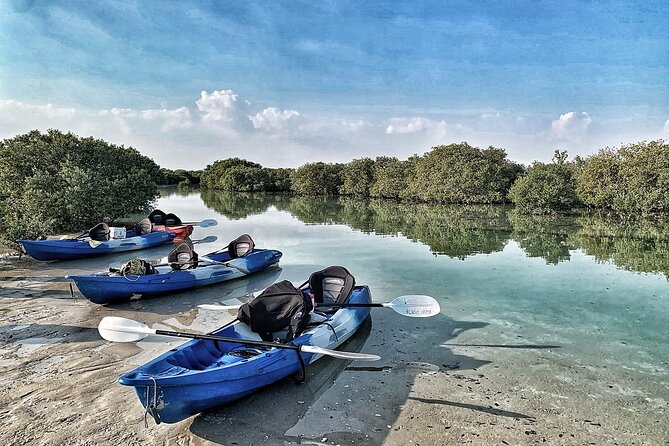 4 Hours Purple Island Mangroves Kayaking Adventure in Qatar - Cancellation and Booking Flexibility