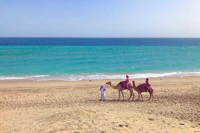 4hr Desert Safari: Sunset,Sunrise,Camel,Sand boarding,Inland Sea - Camel rides, falcons and the short Sealine stop