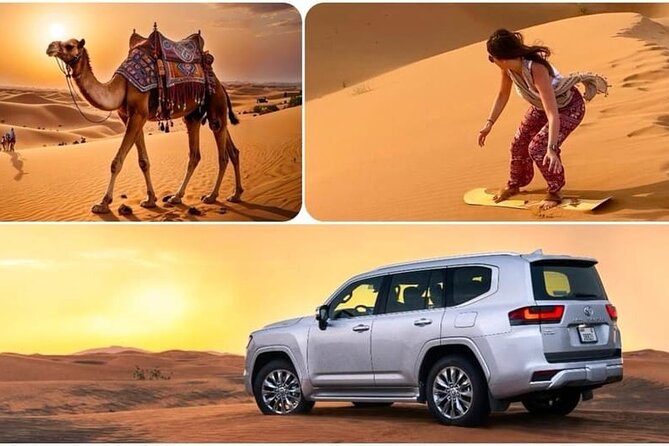 Camel Safari in Desert with Pickup and Drop off in Doha - What the camel ride gives you