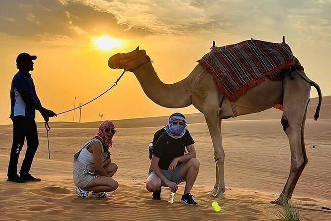 Camel Safari in Desert with Pickup and Drop off in Doha - Comfort, safety, and practical limits