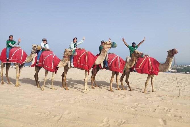 Camel trekking on the Dunes with Sunset - The 30-minute camel ride across the dunes