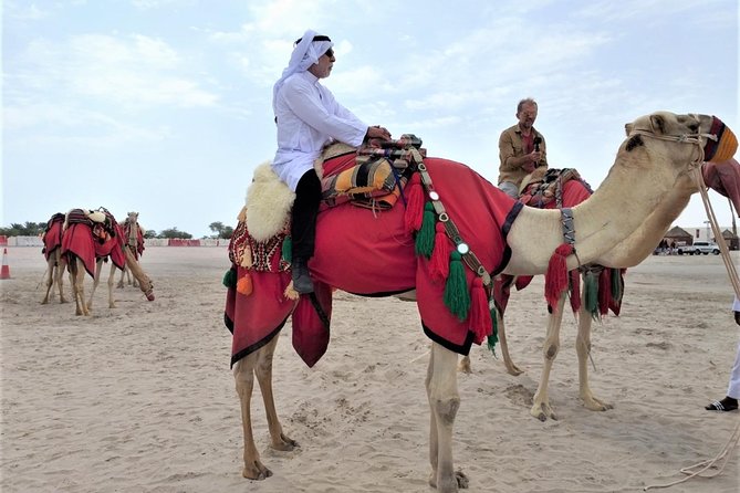 Combo Culture & Adventure: North Qatar Heritage & Desert Safari - Al Jumail village and Al Zubarah Fort