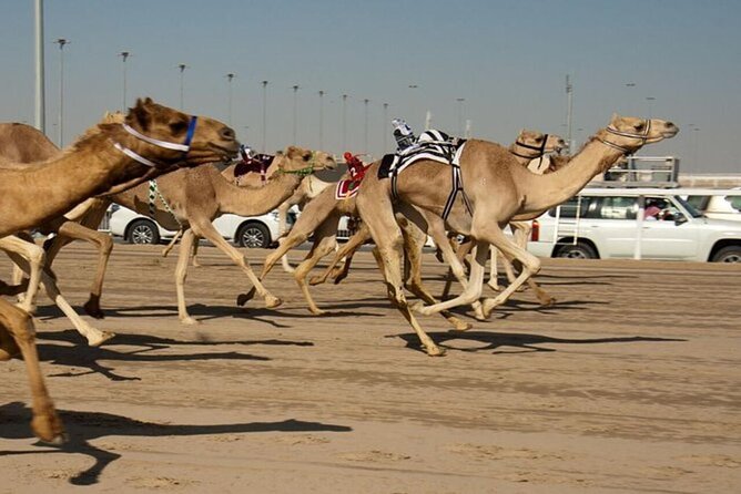 Combo West and North of Qatar Tour - The guides and the value of a private vehicle