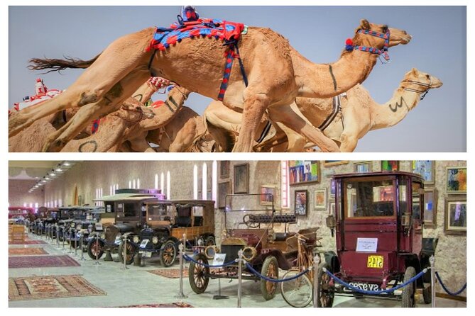 Cultural & Thrills: Sheikh Faisal Museum & Camel Race Adventure - Why this pairing works in Doha