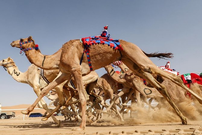 Cultural & Thrills: Sheikh Faisal Museum & Camel Race Adventure - Entering the Sheikh Faisal Museum