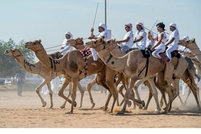 Cultural & Thrills: Sheikh Faisal Museum & Camel Race Adventure - How much value do you get for $119?