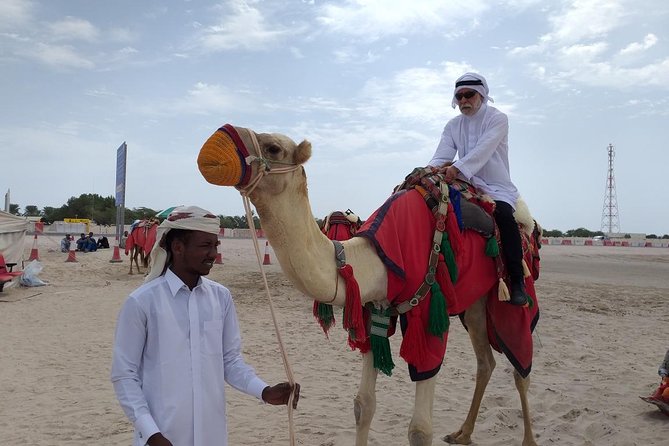 Desert Combo safari, Camel ride, Quad Bike and Dune Bashing(ALL INCLUSIVE) - Dune bashing in a 4x4