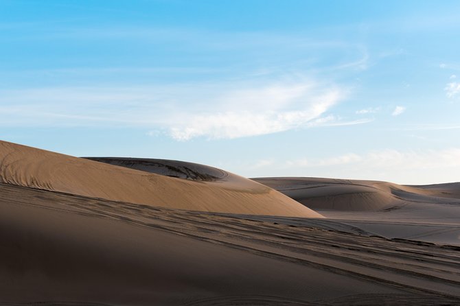 Desert Combo safari, Camel ride, Quad Bike and Dune Bashing(ALL INCLUSIVE) - Sealine Beach and the Inland Sea