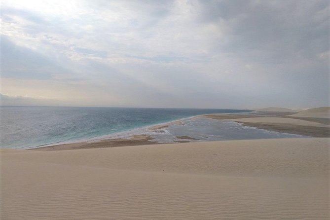 Desert Combo safari, Camel ride, Quad Bike and Dune Bashing(ALL INCLUSIVE) - Who will enjoy this half-day outing?