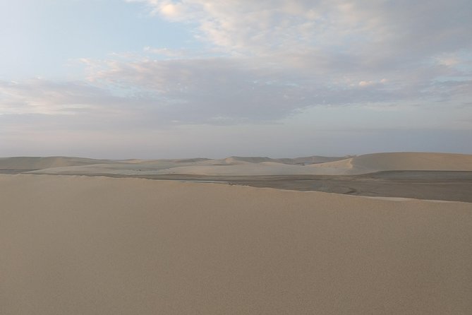 Desert Combo safari, Camel ride, Quad Bike and Dune Bashing(ALL INCLUSIVE) - Quad biking at Sealine Beach