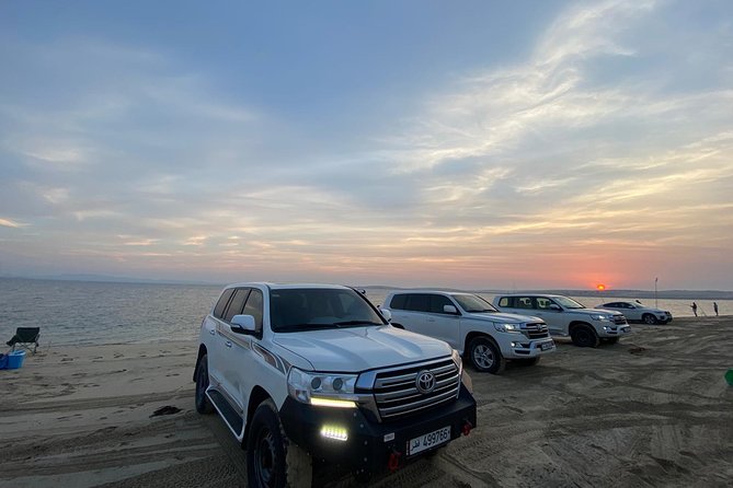 Desert Safari 7 Hours Tour with Dinner and Camp - Who will enjoy this desert safari most?