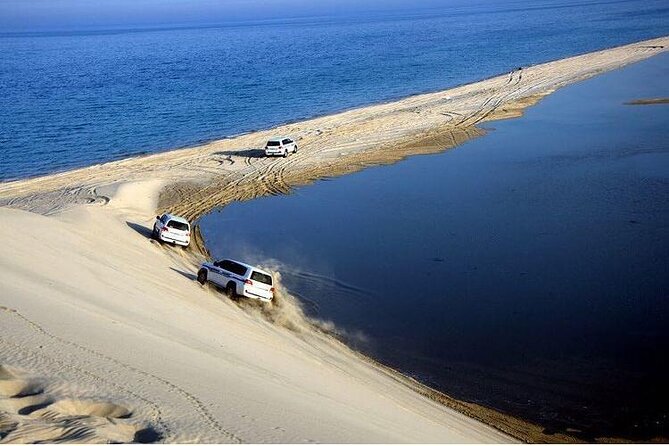 Desert Safari and Inland Sea(Private Tour) - Why this private desert trip works well from Doha
