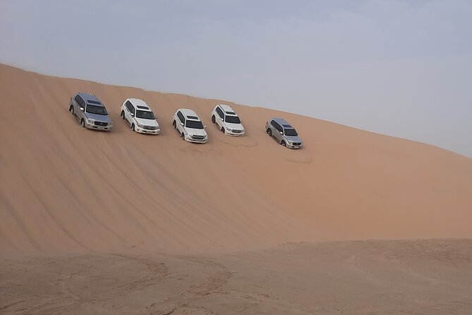 Desert Safari and Inland Sea(Private Tour) - Sandboarding and the wide-open desert