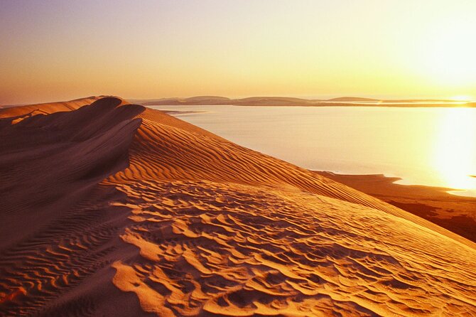 Desert Safari and Inland Sea(Private Tour) - Dune bashing across southern Qatar