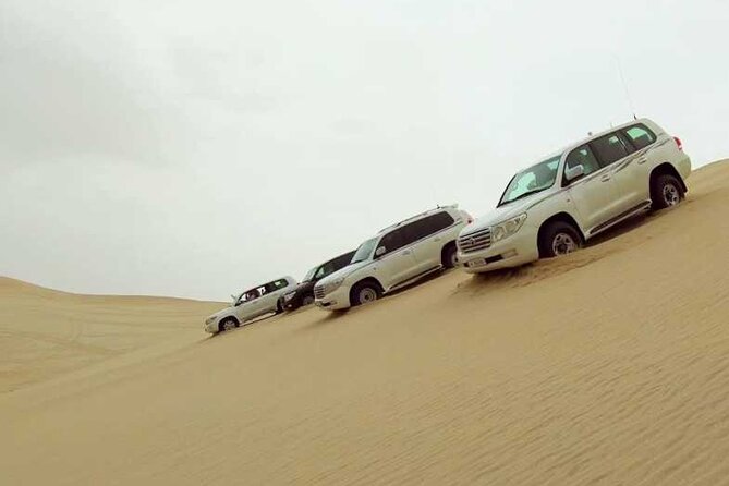 Desert Safari, Camel ride and Inland Sea Tour - Sealine Beach begins with tea and a camel photo stop