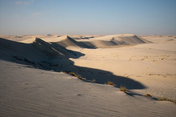 Desert safari, Dune bashing, sandboarding, camel, ATV Option - Sandboarding with your own equipment