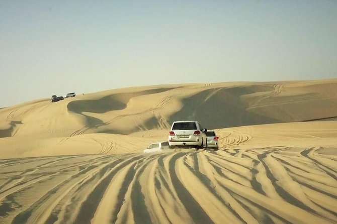 Desert safari, Dune bashing, sandboarding, camel, ATV Option - Guide quality makes a real difference