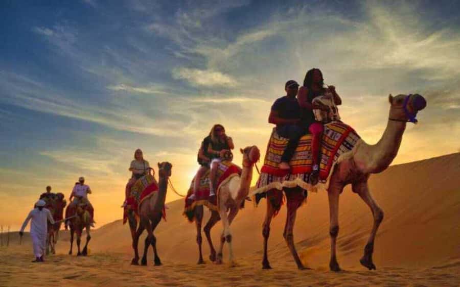 Desert Safari, Dunes Ride, Sand Boarding & Inland Sea Tour - Why this four-hour desert trip works well
