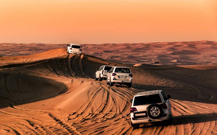 Desert Safari, Dunes Ride, Sand Boarding & Inland Sea Tour - Guides, languages, and the value of a small group