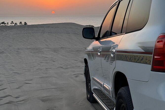 Desert Safari Qatar - What the published feedback tells me