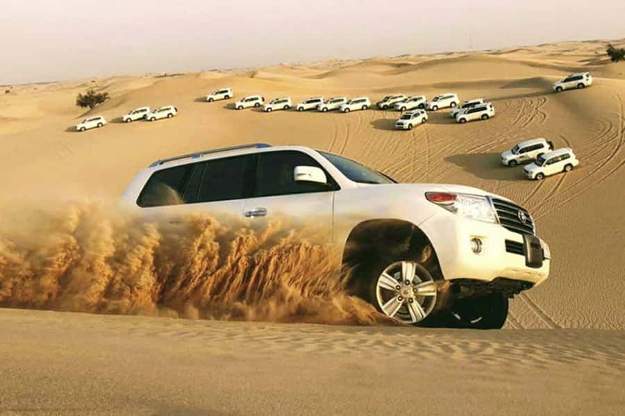 Desert Safari, Quad Bike, Camel Ride, Falcon & Sandboarding - A fast route from Doha to open desert