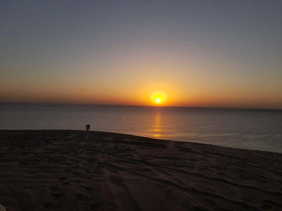 Desert Safari, Quad Bike, Camel Ride, Falcon & Sandboarding - Sandboarding with limited time to practice
