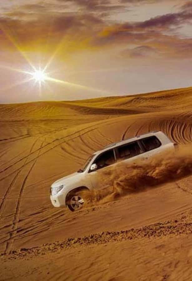 Desert Safari, Quad Bike, Camel Ride, Falcon & Sandboarding - Who should book this desert outing?