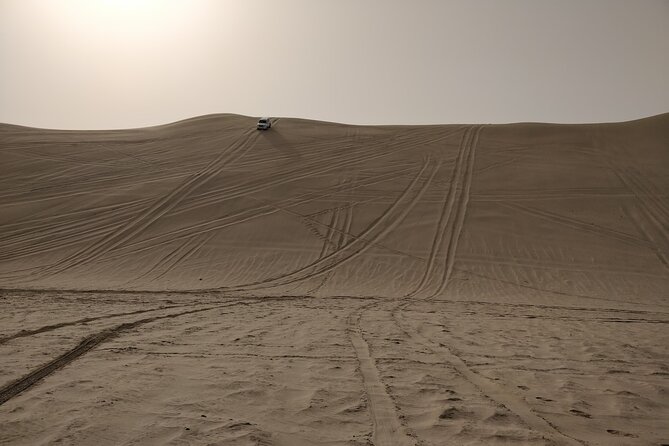 Desert Safari, Quad Bike, Sandboarding and Camel Ride - Dune bashing toward Khor Al Udaid