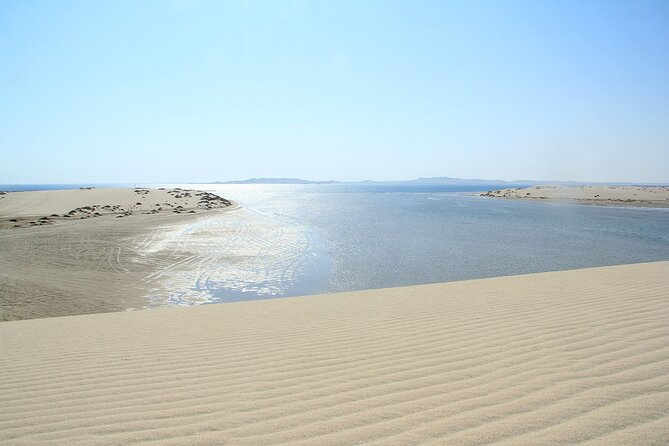 Desert Safari, Quad Bike, Sandboarding and Camel Ride - Is $100 good value?