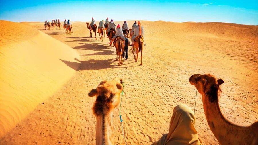 Desert Safari, QuadBike,Dune buggy, Sandboarding & CamelRide - From Doha to the open desert