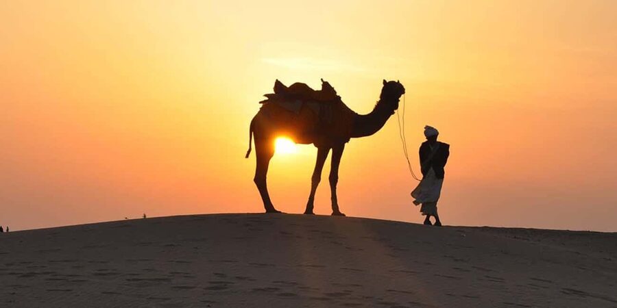 Desert Safari, QuadBike,Dune buggy, Sandboarding & CamelRide - Who should book this desert safari?