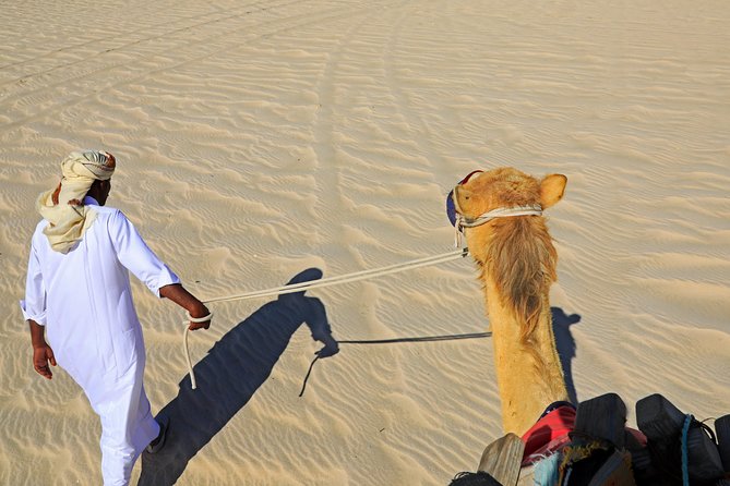Desert Safari with Camel Ride, Sand Boarding & Inland Sea Tour in Doha - Sandboarding is simple, active, and easy to repeat