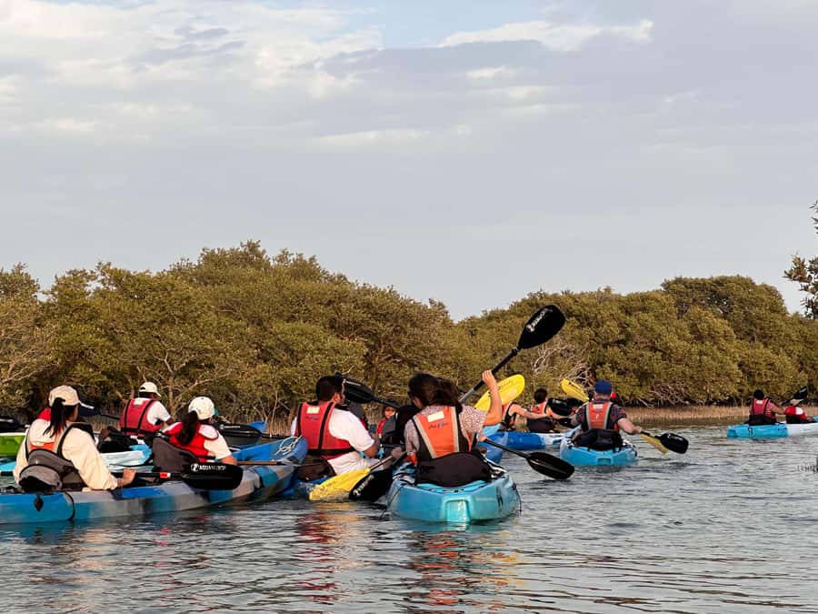 Discover Purple Island | Guided Mangrove Kayaking Experience - Paddling through the mangrove channels