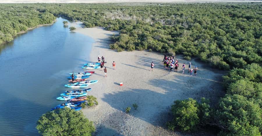 Discover Purple Island | Guided Mangrove Kayaking Experience - What the $65 price includes