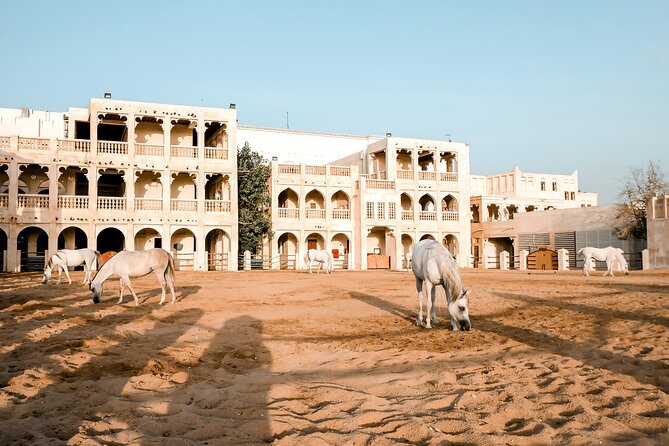 Discovering Doha Qatar | Guided City Tour | Half Day - West Bay, Doha’s modern skyline