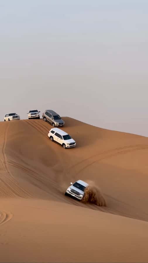 Doha Activities: Desert Safari, Dune Bashing & Inland Sea - A short camel ride with an extra charge
