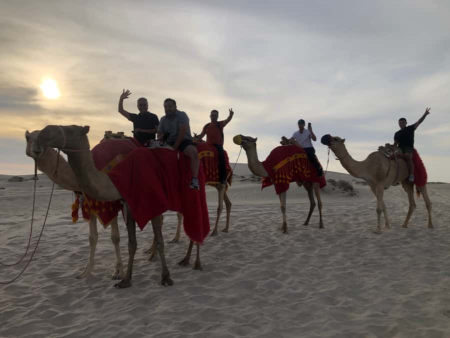 Doha Activities: Desert Safari, Dune Bashing & Inland Sea - Who should book this desert safari?