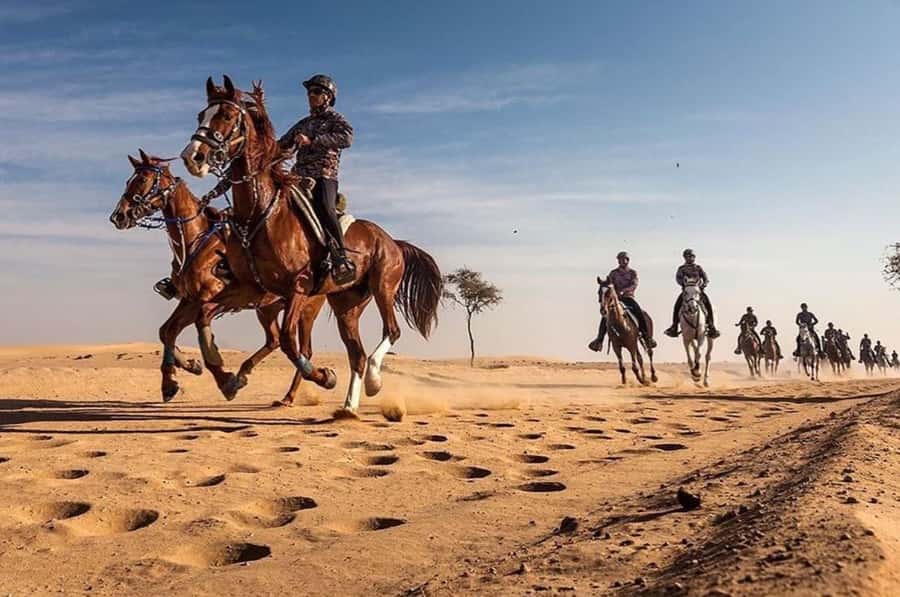 Doha : Arabian Horse Ride Experience With Pickup & Drop Off - Key points at a glance