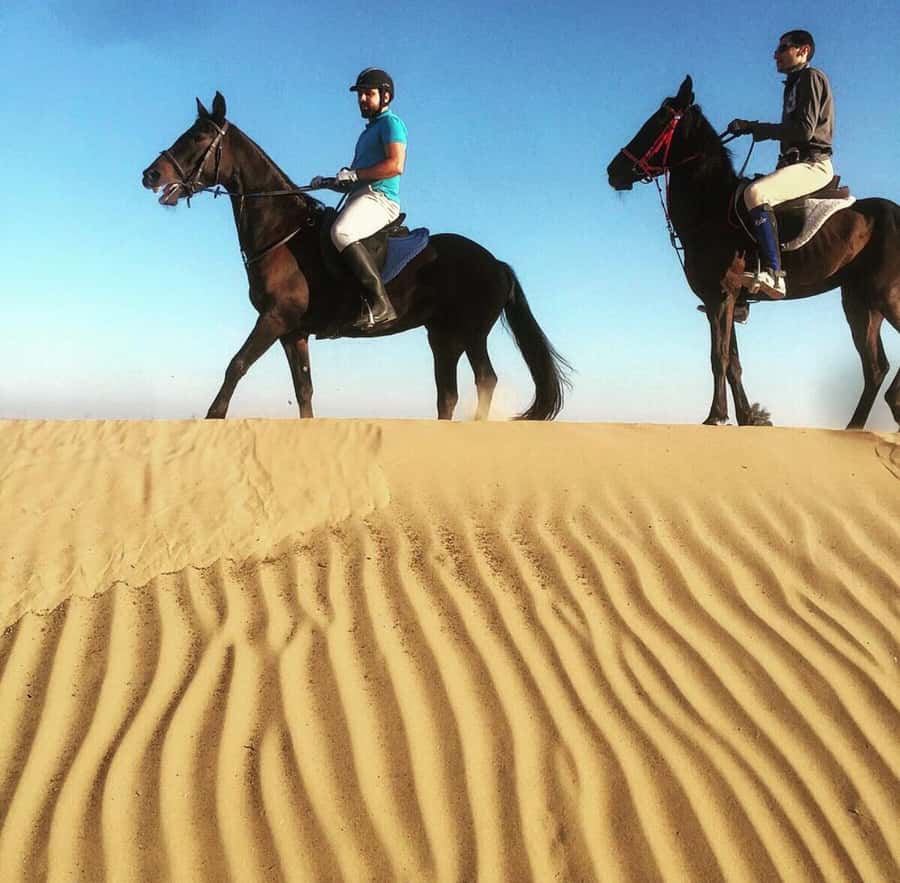 Doha : Arabian Horse Ride Experience With Pickup & Drop Off - Riding through the quiet desert