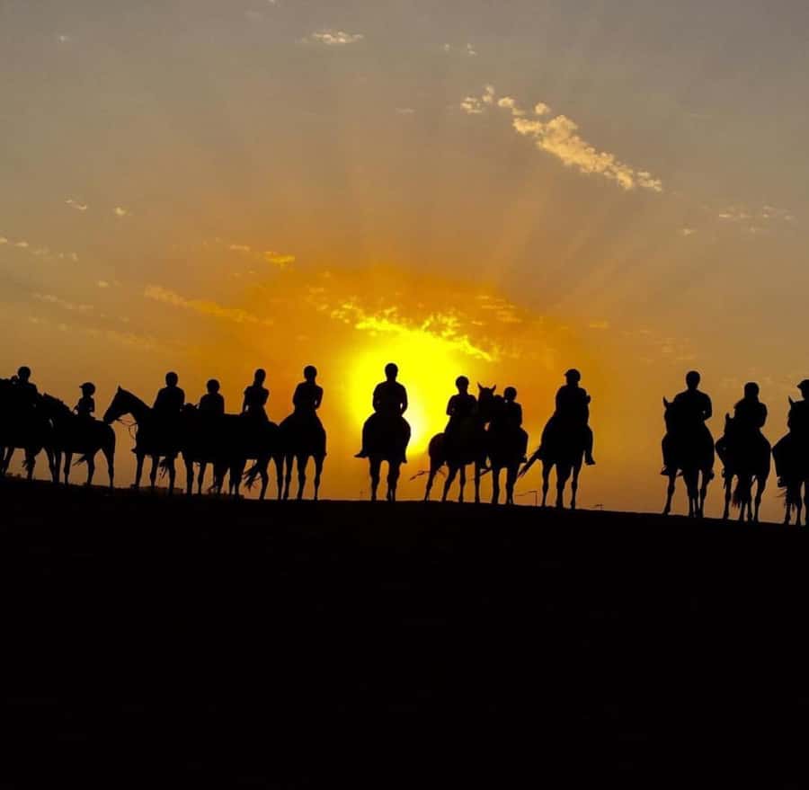 Doha : Arabian Horse Ride Experience With Pickup & Drop Off - Returning to the center and Doha