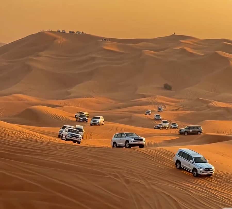 Doha : Arabian Horse Ride Experience With Pickup & Drop Off - Who will enjoy this ride most