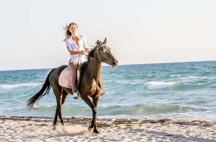 Doha : Arabian Horse Ride Experience With Transfer - Key points to know before you book